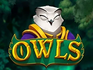 owls.webp